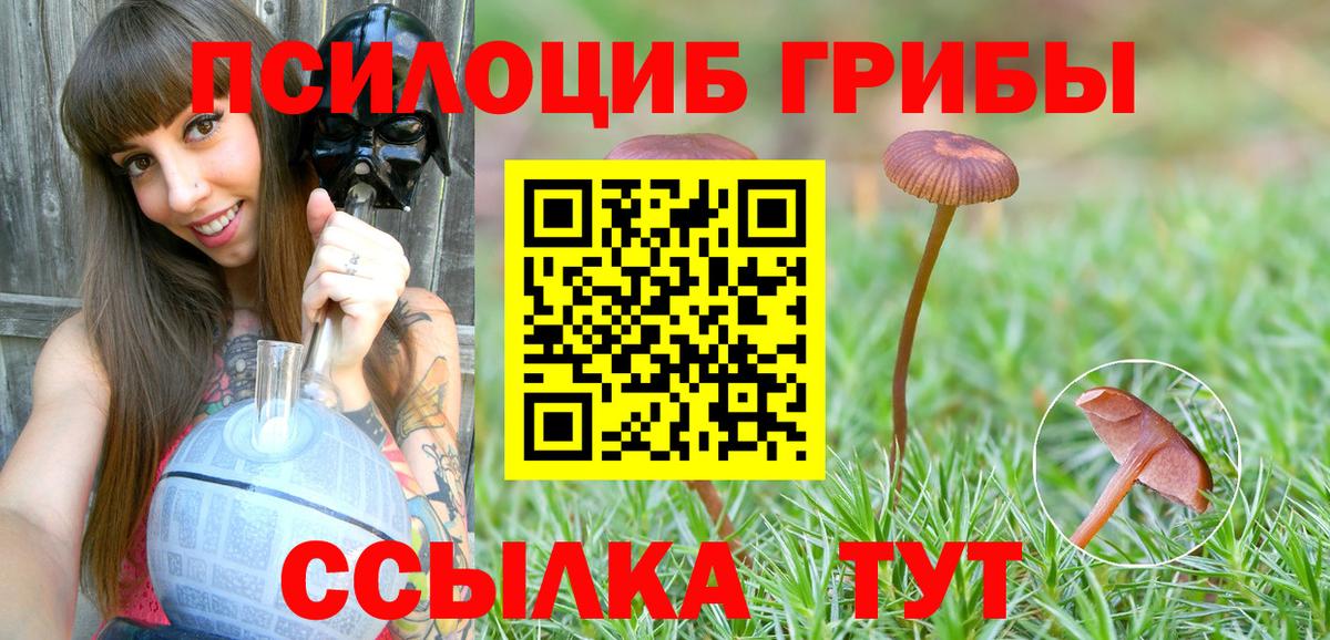 Псилоцибиновые грибы ЛСД Черкесск